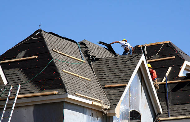 Best Local Roofing Companies  in Rden City, GA
