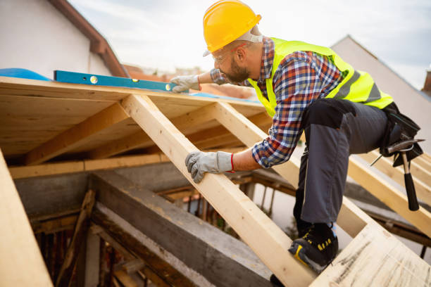 Best Shingle Roofing Installation  in Rden City, GA