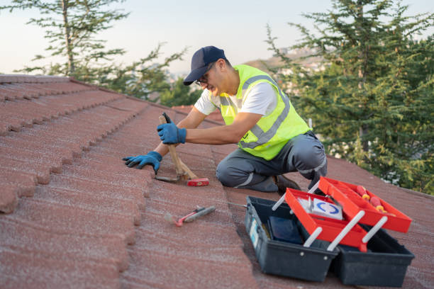 Best New Roof Installation  in Rden City, GA