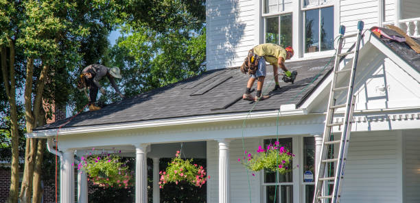 Best Gutter Installation and Roofing  in Rden City, GA